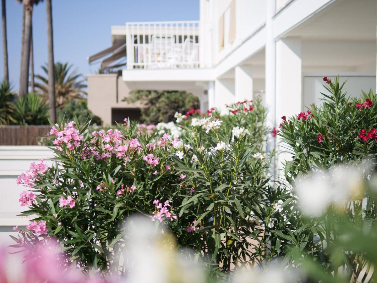 Belle Vue Hotel Cavalaire-sur-Mer Εξωτερικό φωτογραφία